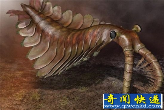 ʮԶ̵ Զ!