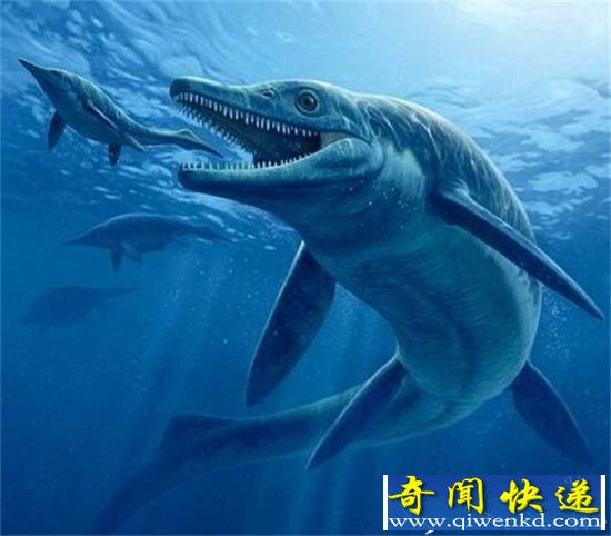 �������ž������غ��� 1.6����ǰ���������ع�