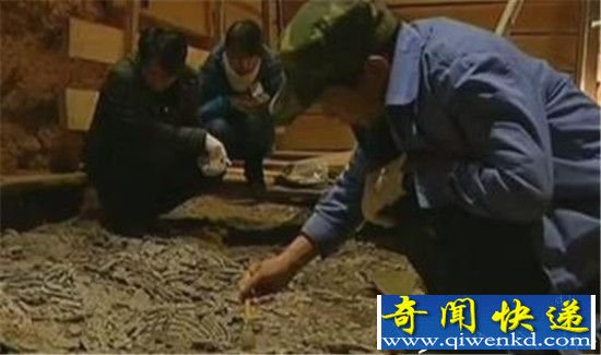 ��ʼ��Ĺˮ����֮�� ��ʼ����Ĺˮ��Ůʬ