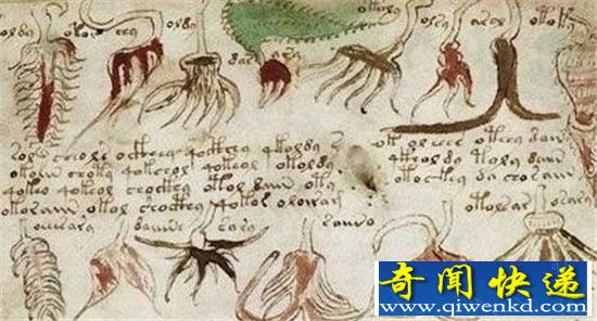 ȫ�����������󿼹����� �������ָ��������