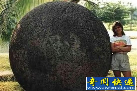 ȫ�����������󿼹����� �������ָ��������