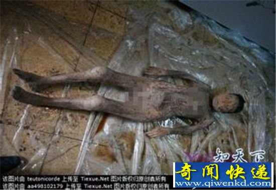 ����̩�ݳ�����������Ůʬ Ĺ�������Ǹ���