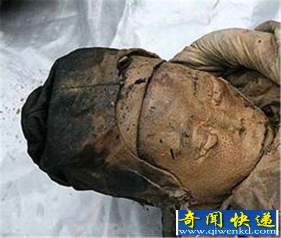 ����̩�ݳ�����������Ůʬ Ĺ�������Ǹ���