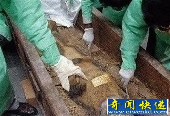 ���Ž�ʮ����ƭ�ֽ��� 쳼�������ʬ������