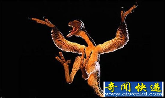 ʮ��Ŵ������������ ������������Χ