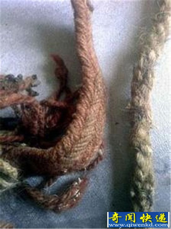 ��ʼ���꾪��ǧ��ľ���� ���������?