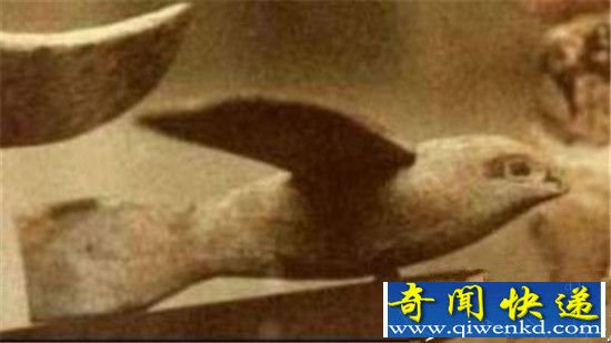 秦始皇陵地宫飞雁是真的吗?项羽曾亲眼看见!