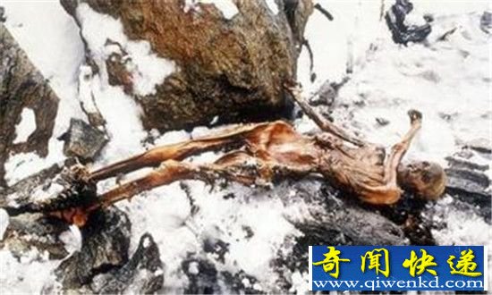 揭秘木乃伊连环杀人案 是诅咒还是细菌作怪