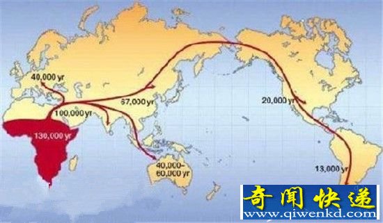 人类进化的秘密:谁是第一个原始人?
