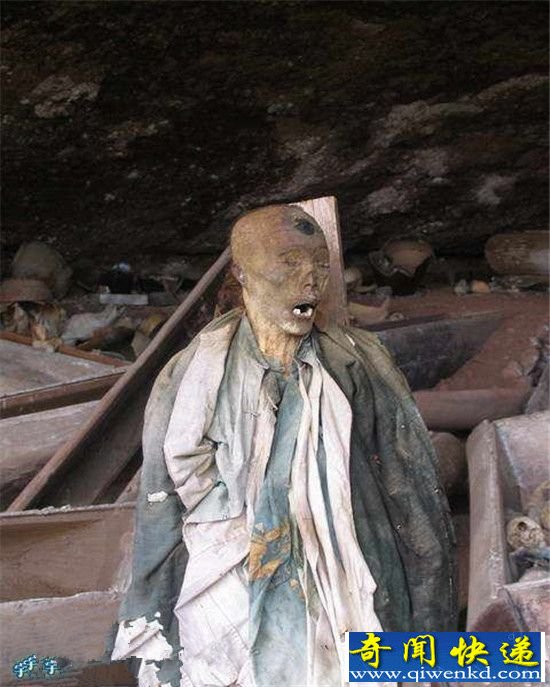 ʵ�����������еľ�㤸�ʬ ��������֮�գ�