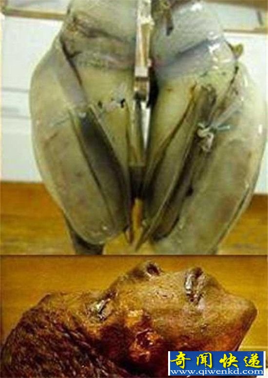 ����ʮ�󿼹�֮�գ�������ǰ������������