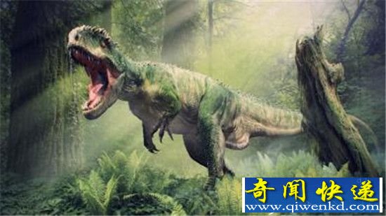 侏罗纪时代动物!史前蜂巢有百万黄蜂 异形生化黄蜂存在吗?