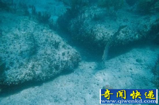 全球著名建筑!密歇根湖底巨石阵现神秘图案