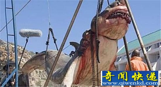 ǧ���Ĺ�ڳ�������� ǧ����߾��������ħ