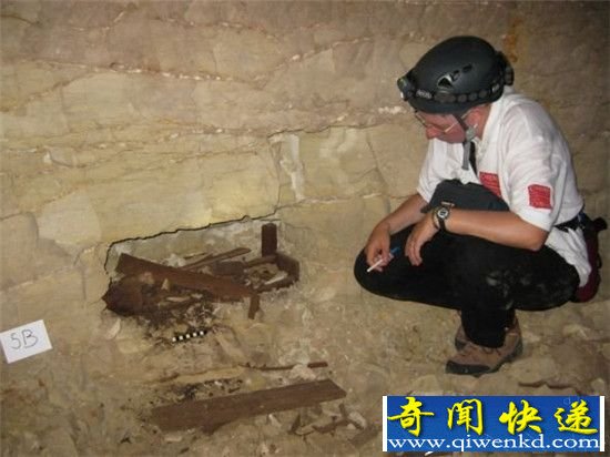 埃及墓穴发现800万条木乃伊狗 竟被碾碎当饲料用