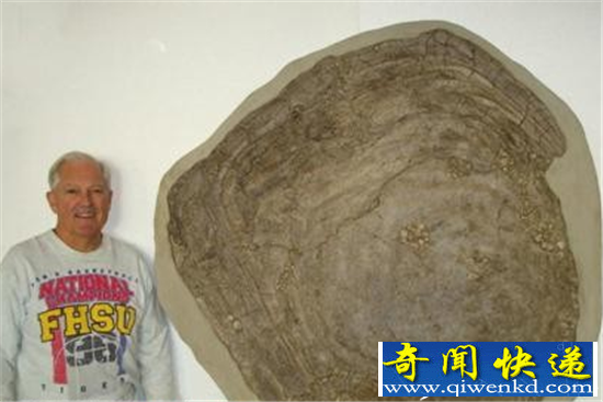 十大罕见远古生物揭秘 巨型陆地杀手蝎揭秘