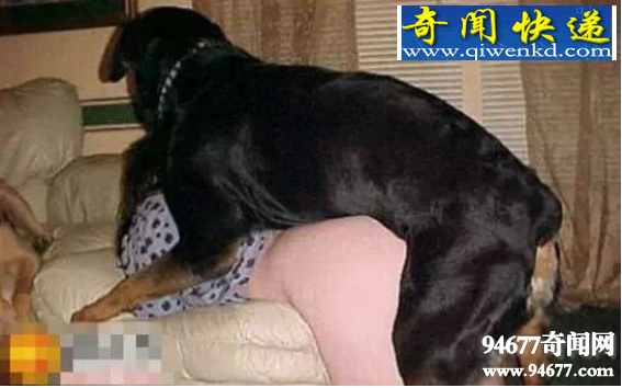 女子与狗x交照片,女子被狗的JJ卡住(现实版人与兽)