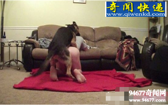 女子与狗x交照片,女子被狗的JJ卡住(现实版人与兽)