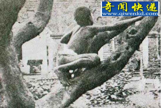 ʵǺͼƬǺĹ´ȫ