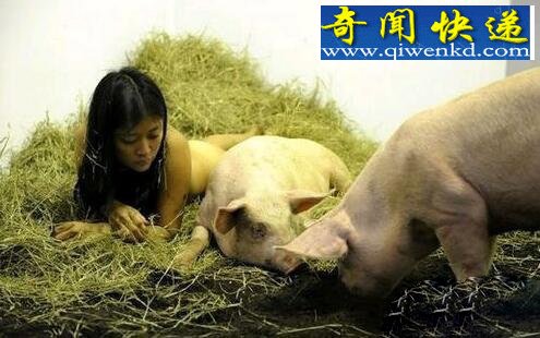 女子一丝不挂与猪同睡:幕后真相骇人