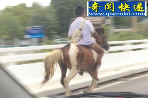 泰国男生骑马上学照片红遍网络