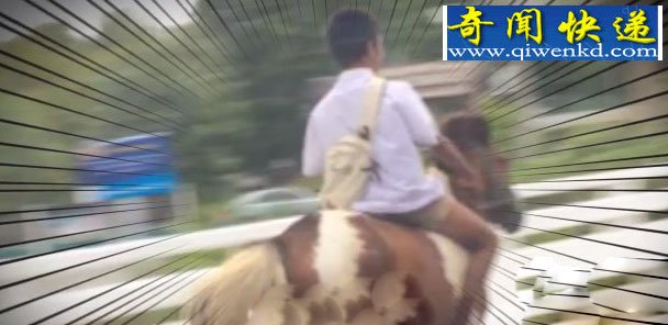 泰国男生骑马上学照片红遍网络