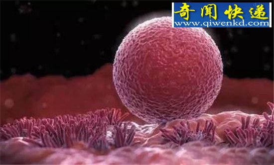 女大学生为买手机卖卵子 结果让他终身后悔