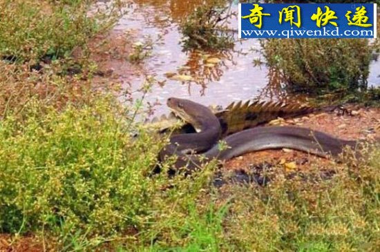 ŮӾźӱжݴԱɵ