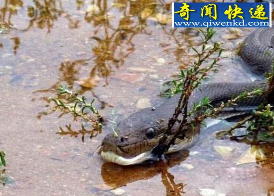 ŮӾźӱжݴԱɵ