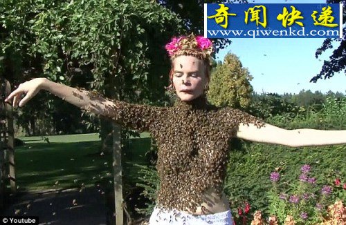 女子被上万蜜蜂叮满 称有助放松