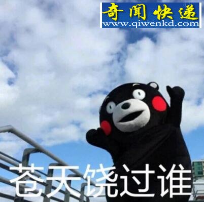 熊本熊表情包大全,熊本熊的网红之路