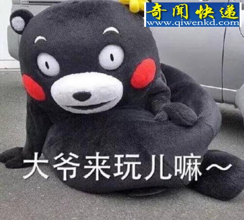 熊本熊表情包大全,熊本熊的网红之路