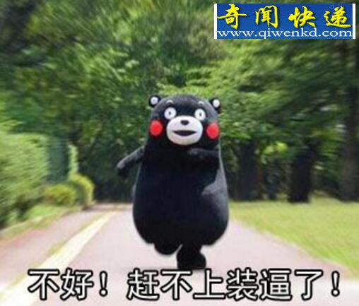 熊本熊表情包大全,熊本熊的网红之路