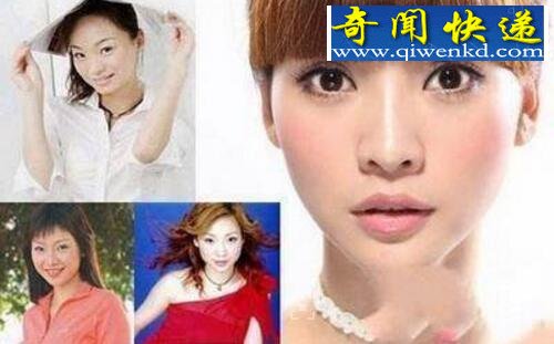 柳岩整容前后照片惊人,柳岩整容事件最终落实