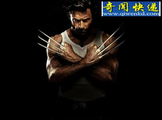 x战警观看顺序,从第一战到金刚狼的死亡