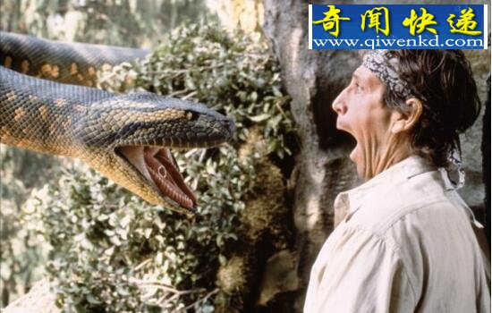 关于蛇的电影大全,十部最经典的蟒蛇电影