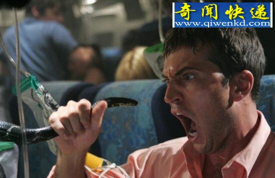 关于蛇的电影大全,十部最经典的蟒蛇电影