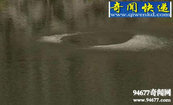 揭开猎塔湖水怪之谜,实则湖面旋风形成“水龙卷”