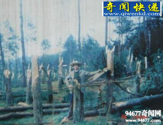 贵阳空中怪车事件,外星人造访地球留下的证明