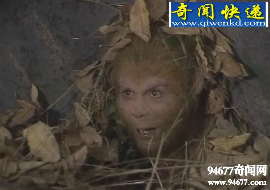 西游记未解之谜,吴承恩教你看透世态炎凉