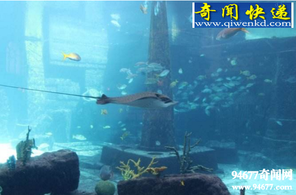 亚特兰蒂斯文明,神秘古国一夜消失的真相大揭秘