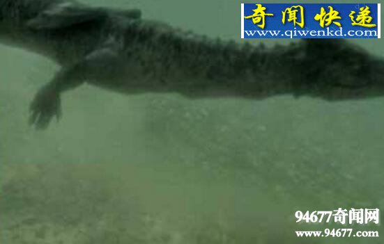 揭开青海湖水怪之谜,水怪藏身海底巨大漩涡