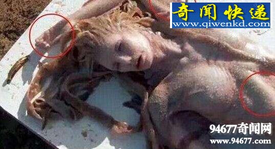 世界未解之谜诡异图片,震惊世界的恐怖事件
