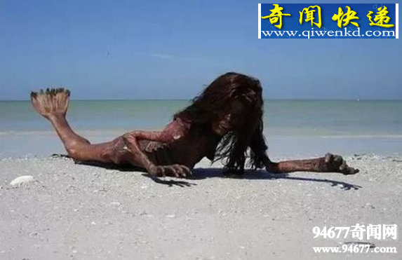 世界上有美人鱼吗?神秘的美人鱼图片曝光