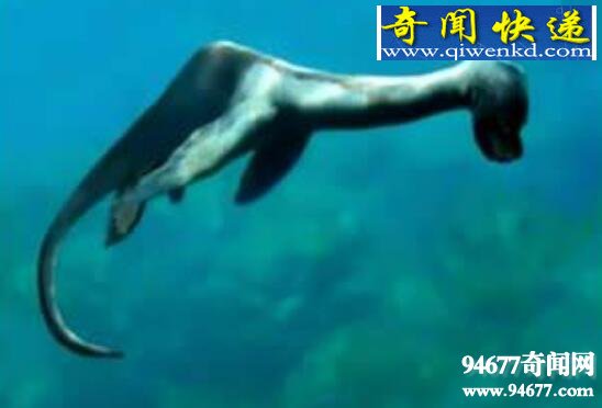 尼斯湖水怪之谜,水怪疑是绝育的太监鳗鱼