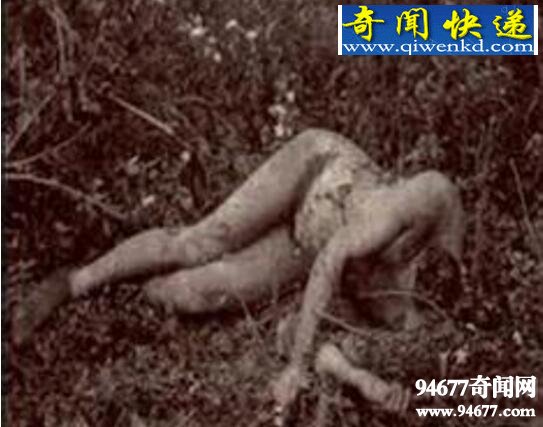 世界十大奇案,变态杀人魔犯下的世纪之罪
