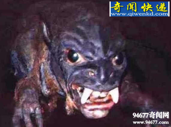 吸血怪兽卓柏卡布拉,真实身份竟为变异郊狼