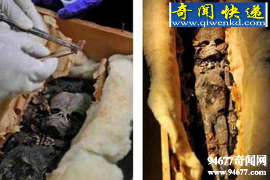 外星人木乃伊惊现金字塔,类似爬虫的人形外星生物