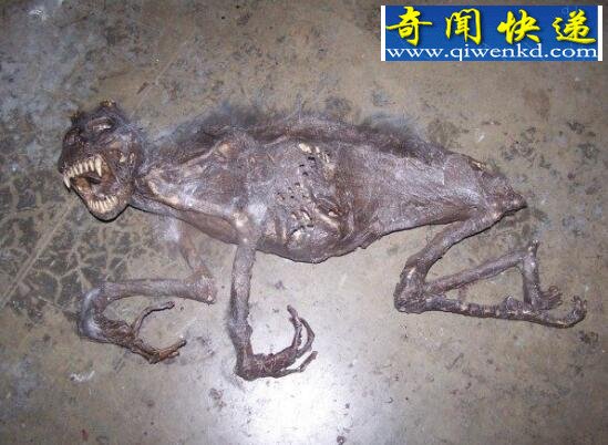 ĴĹޣˮޱҮ