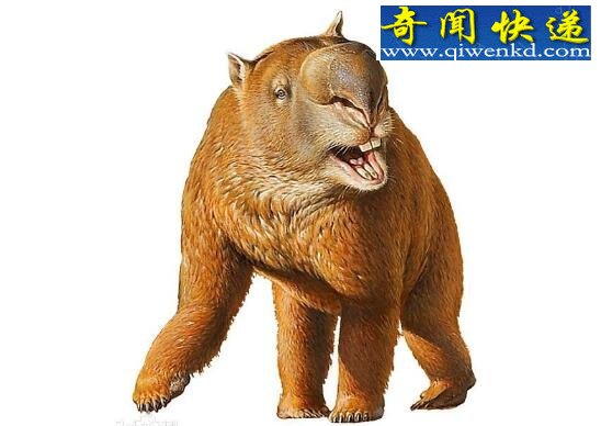 ĴĹޣˮޱҮ